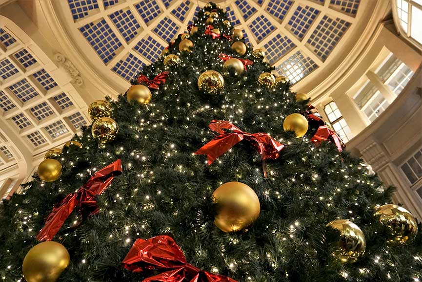 Новогодние ёлки 2024-2025 в Москве