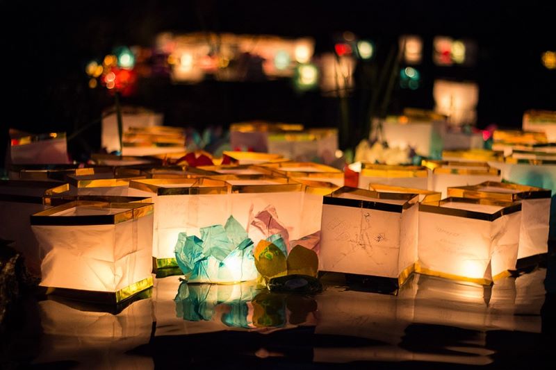 Как бесплатно и интересно провести выходные 13-14 августа и 20-21 августа в парках Москвы