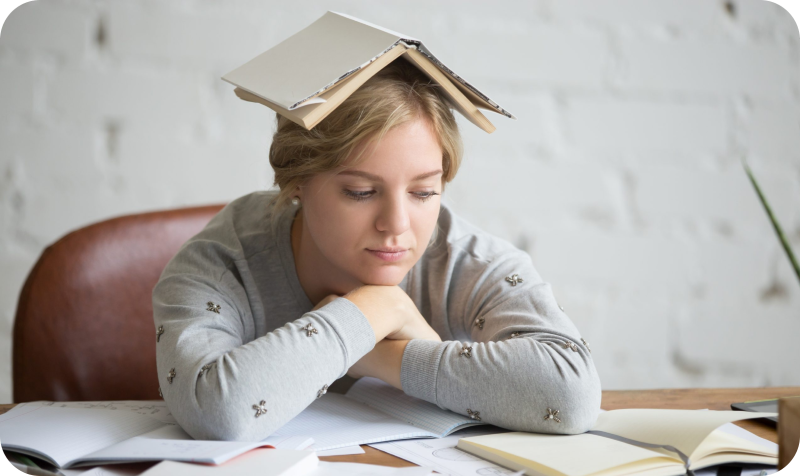 К чему готовиться, чтобы поступить на бюджет: олимпиада или ЕГЭ?