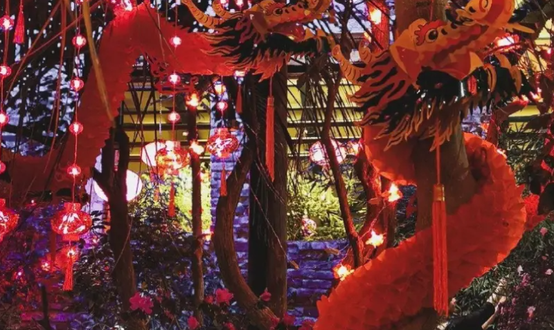 Китайский Новый год в Аптекарском огороде: c 23 января по 16 марта