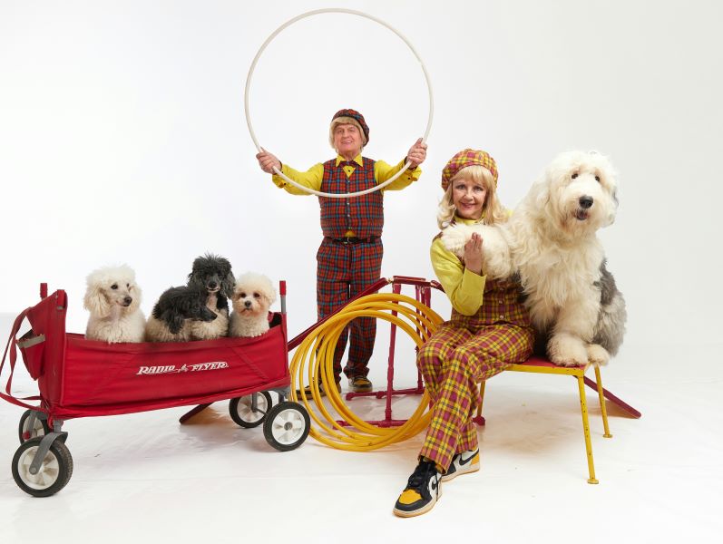 Дрессированные собаки и сафари шоу «Джунгли»: выходные в парке «Сказка»