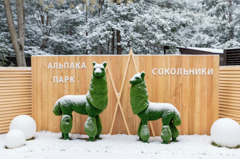 Альпака Парк в Сокольниках подготовил новогодние подарки для детей