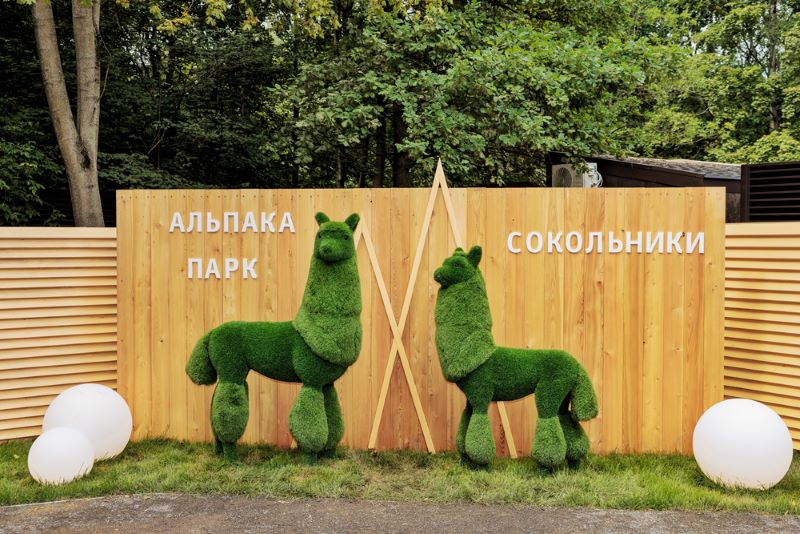 «Альпака Парк» дарит бесплатный вход детям на весенние каникулы