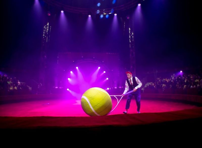 Гала-шоу «Пять цирков-один манеж» в парке «Южное Бутово». 0+