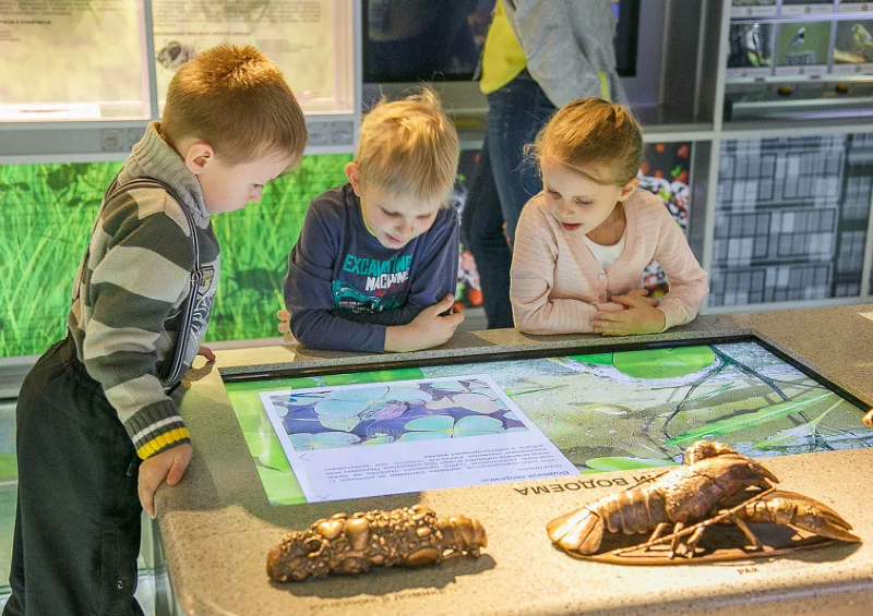 Дошкольная Академия в Дарвиновском музее:расписание на май. 3+ Дошкольная Академия в Дарвиновском музее:расписание на май. 3+