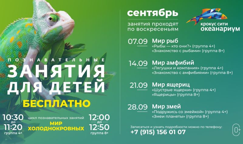 Бесплатные занятия для детей в Крокус Сити Океанариуме в сентябре.4+