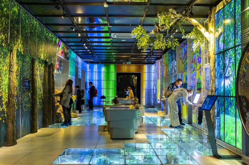 Интерактивный центр «Познай себя-познай мир» в Дарвиновском музее.6+