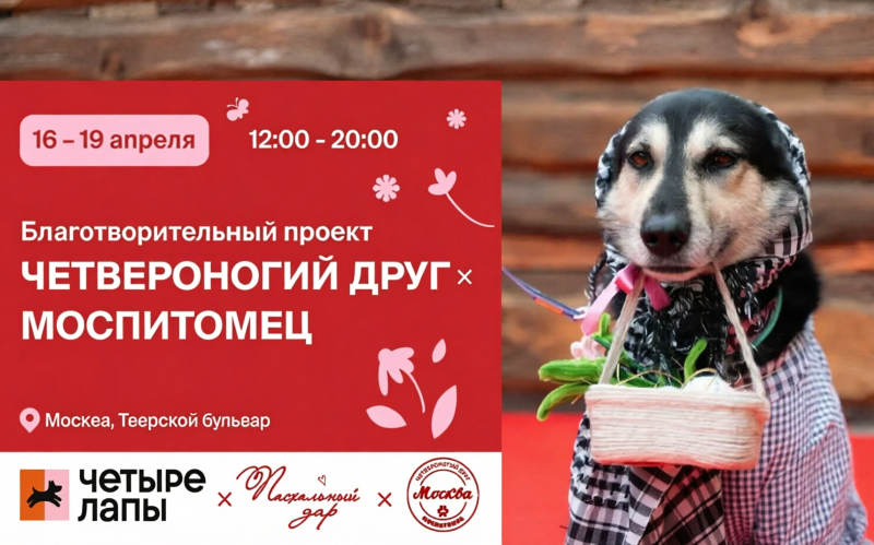 Фестиваль «Моспитомец х Четвероногий друг».16-19 апреля 2026.5+
