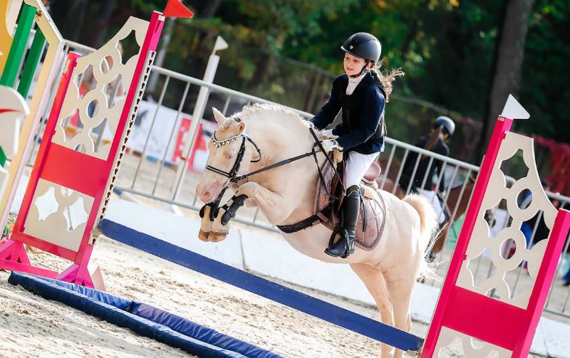 Всероссийские пони-игры в конноспортивном клубе «Измайлово». 3+