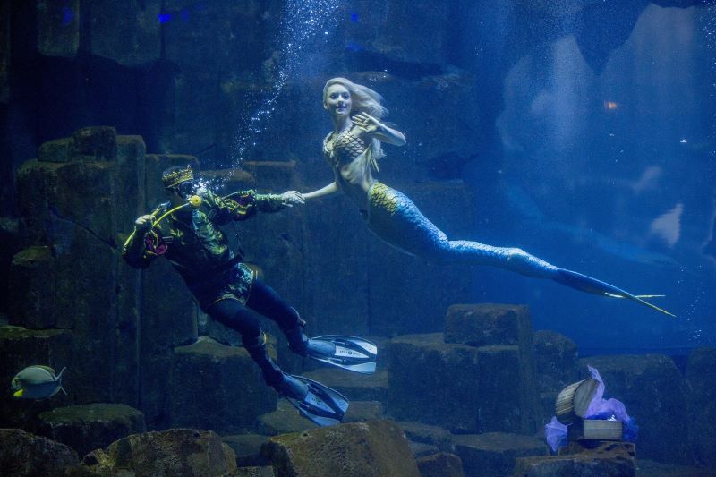 Интерактивное подводное шоу «Русалочка и Водяной» в Крокус Океанариуме.14.06.3+