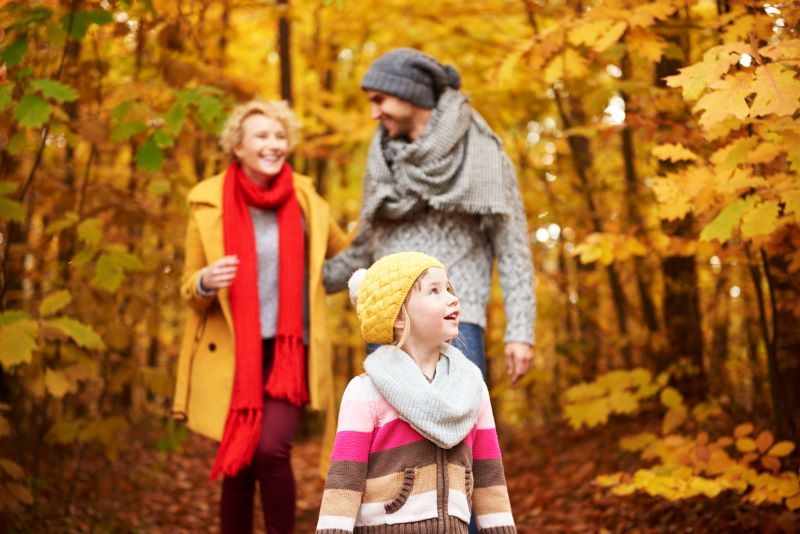 Куда сходить с ребёнком 8 и 9 ноября: лучшие события выходных