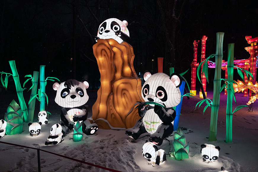 Фестиваль волшебных китайских фонарей продолжит работу до 29 февраля