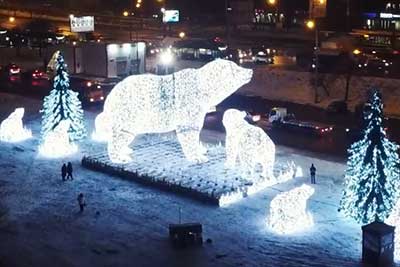 Медведи в Ростокино