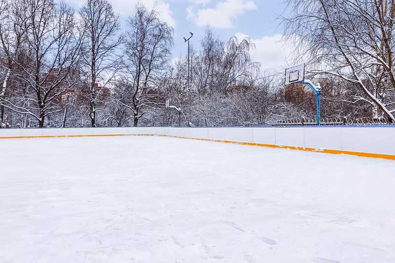 Воронцовский парк каток