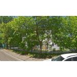 Детский сад комбинированного вида №1358