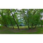 ГБОУ Детский сад №1304 (детский сад №902)