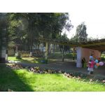 Дошкольное отделение школы № 402 (ранее детский сад № 880)