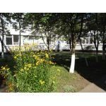 Дошкольное отделение школы № 402 (ранее детский сад № 880)