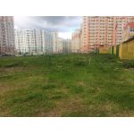 Частный детский сад и ясли «Рыбка»