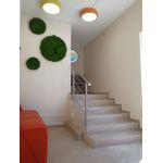 Частная начальная школа "МИР" Частная начальная школа "МИР"