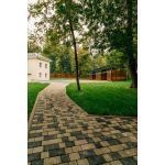 Частный детский сад "СкандиСад"