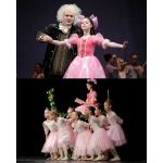 Частная общеобразовательная школа "Морозко"