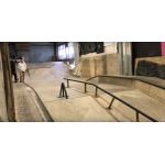 Скейт-парк "Sababa V"