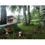 Семейный лагерь "Полный контакт!" (Нижегородская область)