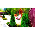 Частный садик “Божья коровка” (Красногорск)