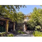 Частный детский сад "Большая Черепаха" (ул. Молокова)