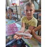 Сад детского клуба "Рюкзачок"