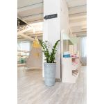 Частный детский сад “Лунный мишка”