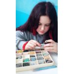 Частная школа с углубленным изучением английского языка "Среда"