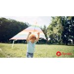 Летняя программа-2024 в детских садах "Лучик" (Сокол)