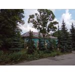 Автономная некоммерческая общеобразовательная организация "Лицей имени Софьи Николаевны Нюберг"