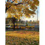 Центр образования "Самсон"