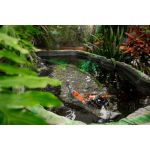 Центр образования "Самсон"