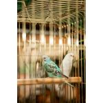 Центр образования "Самсон"