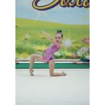 Центр художественной гимнастики "RoGym"