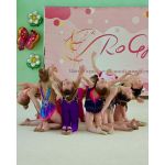 Центр художественной гимнастики "RoGym"