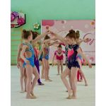 Центр художественной гимнастики "RoGym"