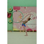 Центр художественной гимнастики "RoGym"