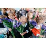 Частная школа "Взмах"