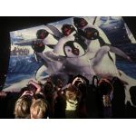 Частный сад детского центра Клевер (ул. Зверинецкая)