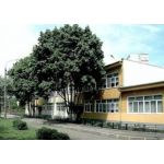 Детский сад комбинированного вида №12