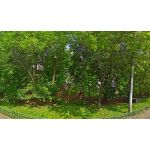 Дошкольное отделение школы № 875 (ранее детский сад компенсирующего вида № 815)