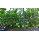 Дошкольное отделение школы № 875 (ранее детский сад № 969)