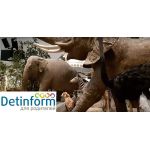 Государственный Дарвиновский музей Государственный Дарвиновский музей