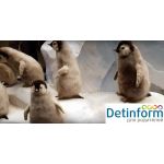 Государственный Дарвиновский музей Государственный Дарвиновский музей