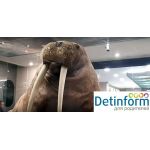 Государственный Дарвиновский музей Государственный Дарвиновский музей